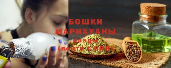 трава Магас