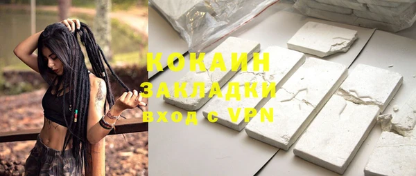 индика Лихославль