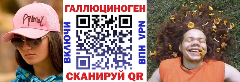 Галлюциногенные грибы Psilocybine cubensis  Суджа 